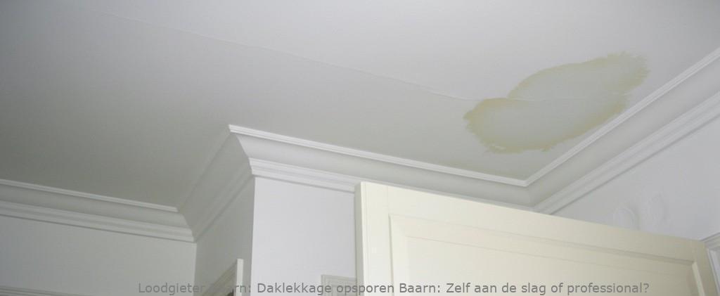 Daklekkage Opsporen Baarn