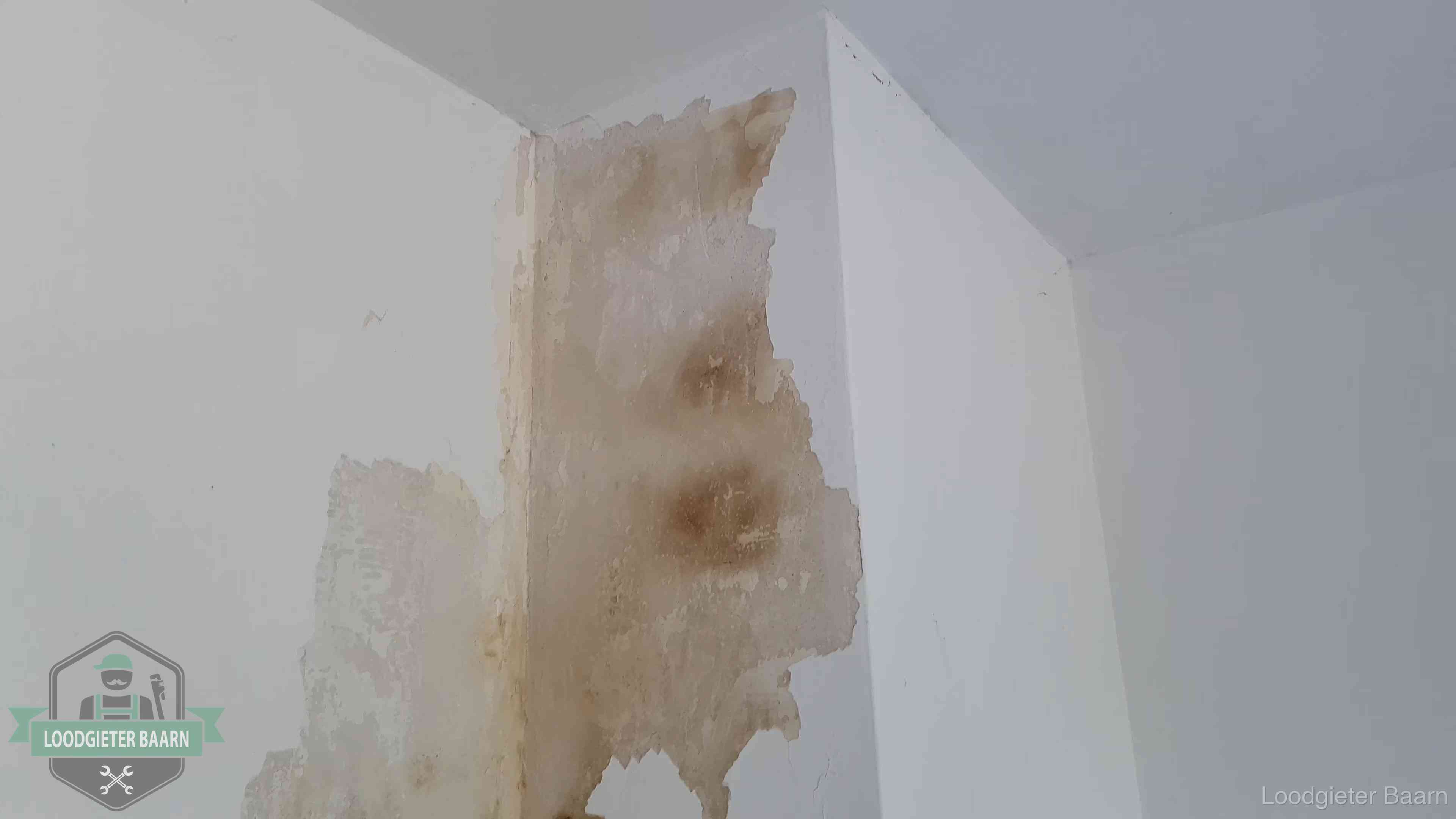 Daklekkage herkennen in Baarn Bruine vochtkringen en afbladderend stucwerk op een binnenmuur in Baarn, een eerste teken van daklekkage