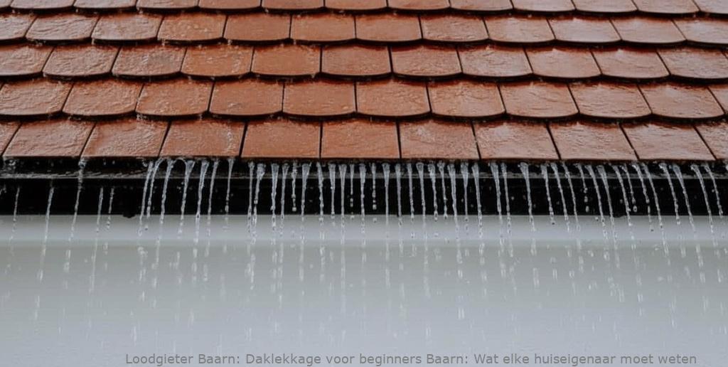 Daklekkage Voor Beginners Baarn