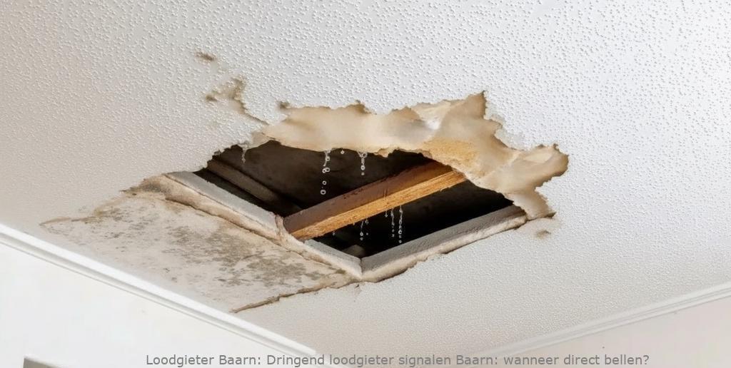 Dringend Loodgieter Signalen Baarn