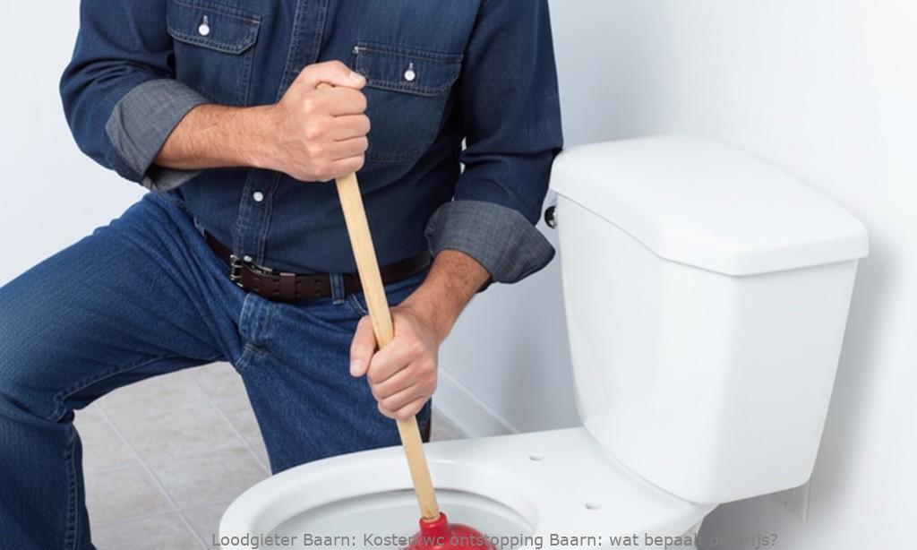Kosten Wc Ontstopping Baarn