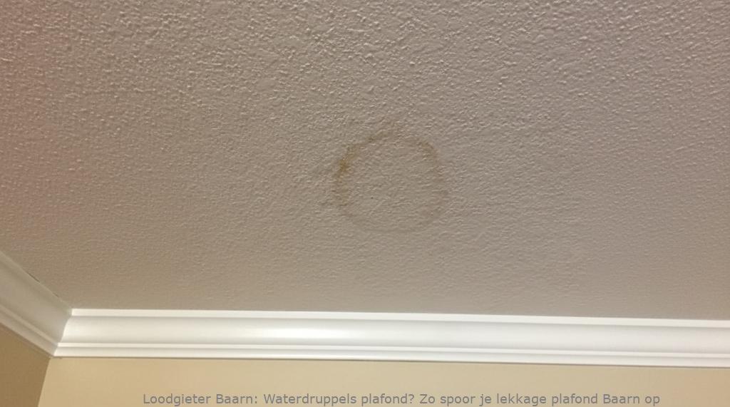 Lekkage Plafond Baarn