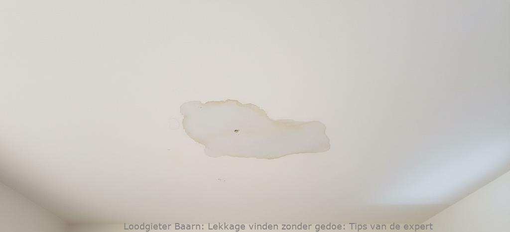Lekkage Vinden Baarn