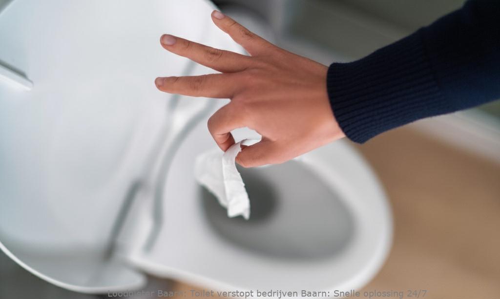 Toilet Verstopt Bedrijven Baarn