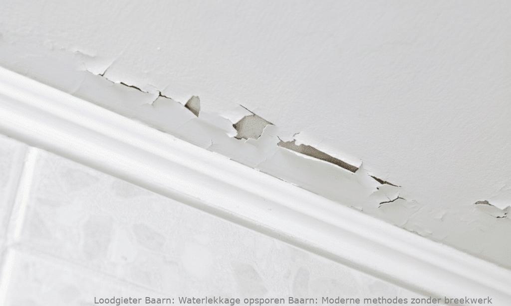 Waterlekkage Opsporen Baarn