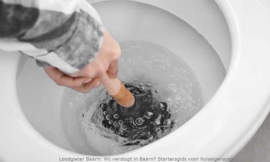 Wc Verstopt Startersgids Baarn